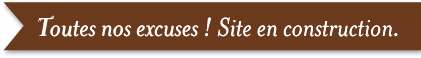 Toutes nos excuses ! Site en construction.
